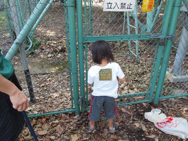 2009年 10月 18日 駒沢公園そうじ画像