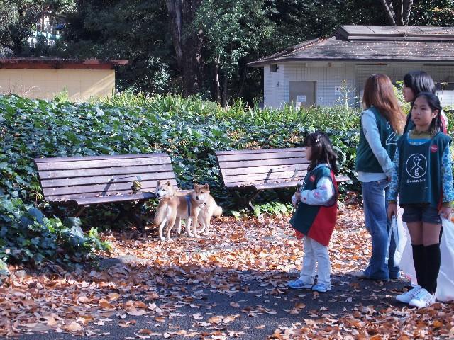 2009年 12月 6日 駒沢公園そうじ画像