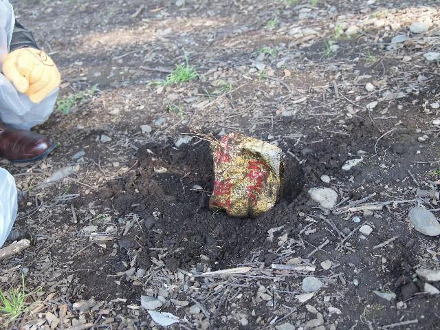 2009年 12月 20日 駒沢公園そうじ画像