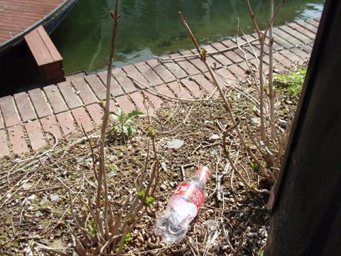 ２月２８日　させぼ・ハウステンボス　ツーデーウォーク　（２日目）　from平戸画像