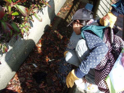 ２月２８日　させぼ・ハウステンボス　ツーデーウォーク　（２日目）　from平戸画像