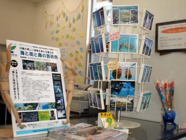 沖縄・那覇担当　自己紹介しまーす！アーストリップ中村より画像