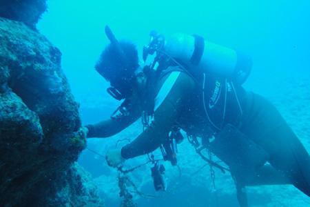 ダイバー＆釣り人コラボそうじ画像