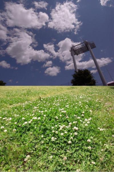 明日はラグビー日本代表戦!!W杯出場まであと一歩!!画像