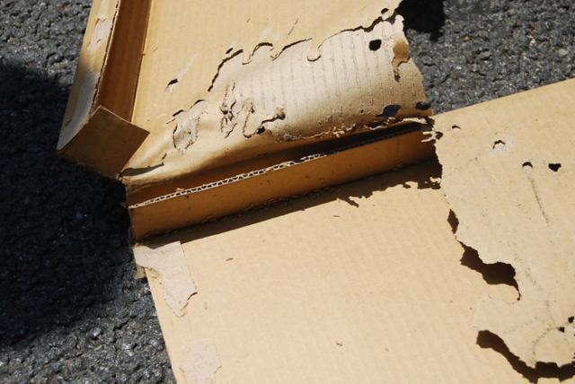 ポスター☆効果覿面!!画像