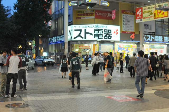 緑鳥を探せ。画像