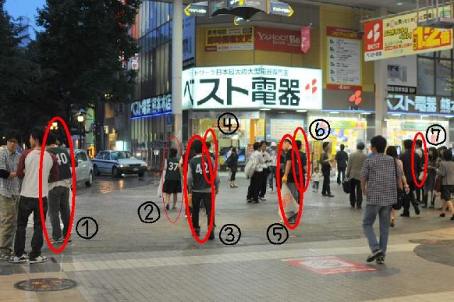 緑鳥を探せ。画像