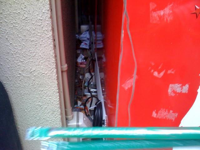 ハレルンヤン。画像