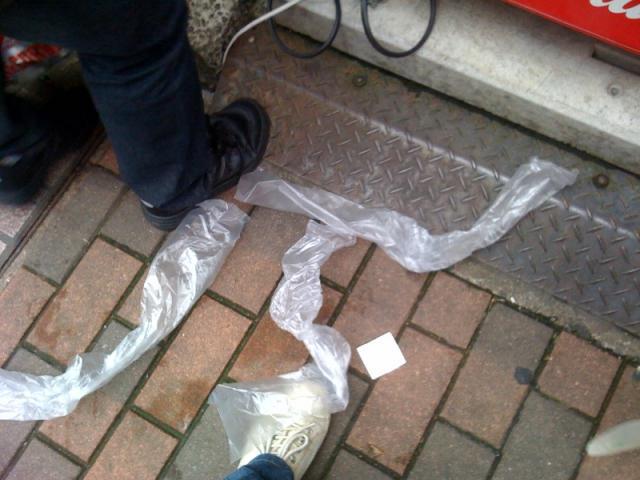 ハレルンヤン。画像