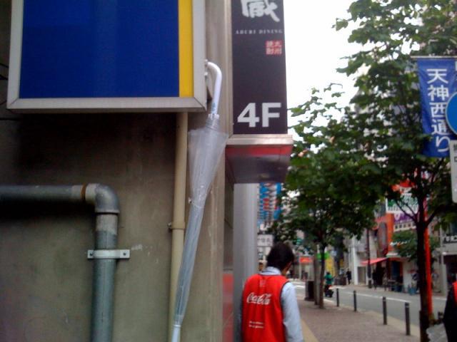 ハレルンヤン。画像