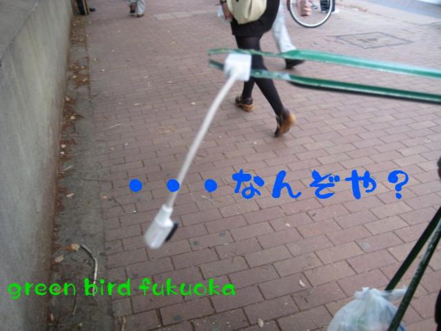 5月25日夕方そうじ画像