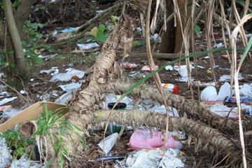 名護　地元中学生とビーチクリーン画像