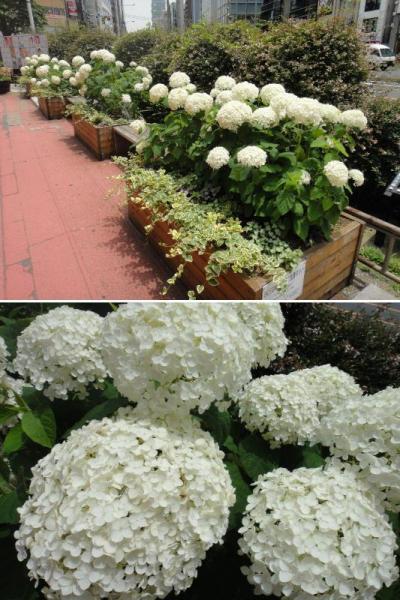 祝!!サッカーW杯決勝トーナメント進出!!画像