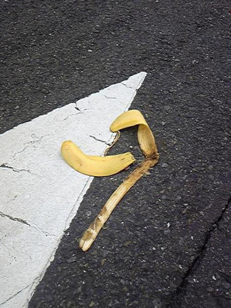 歌舞伎町チーム雨のためお休みです！画像