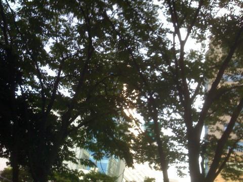 7月22日朝そうじ画像