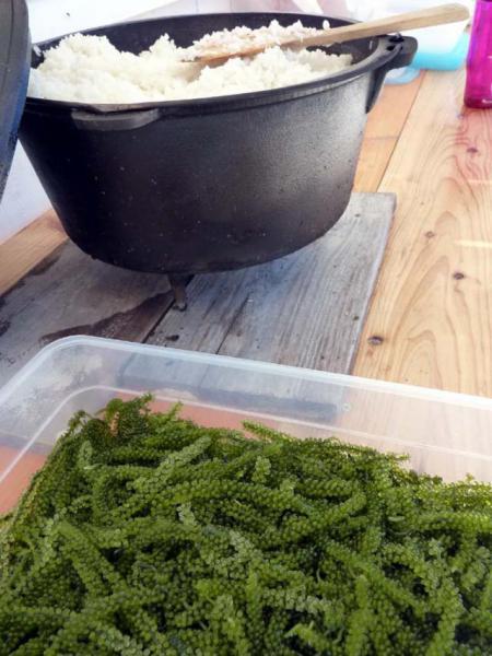 7月11日　糸満・海ん道　ビーチクリーン画像