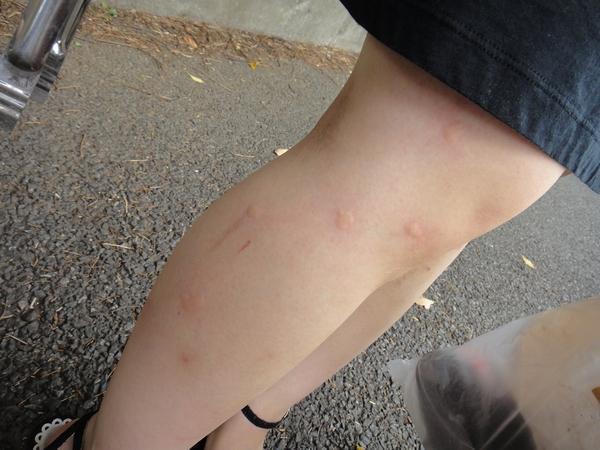 マーラーカオ記念日☆画像