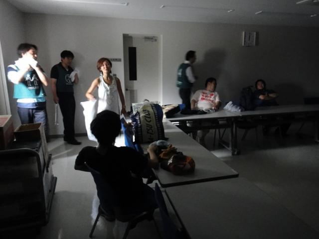 チッチゼミとアブラゼミ画像