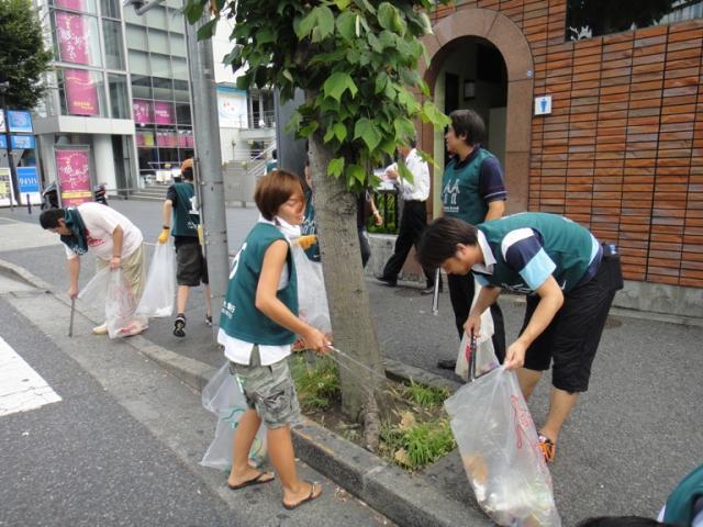 チッチゼミとアブラゼミ画像