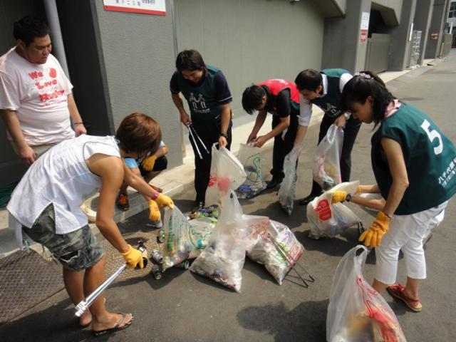 チッチゼミとアブラゼミ画像