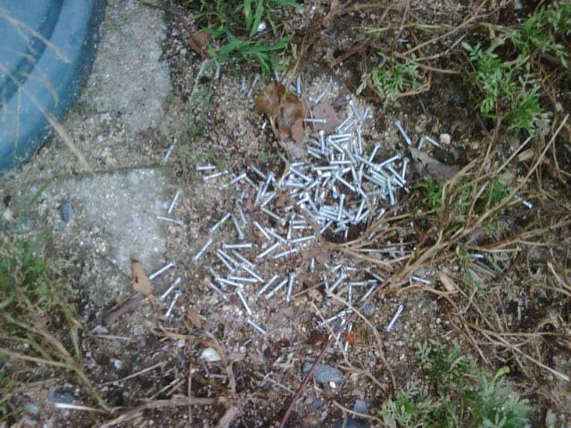 8月31日夕方そうじ画像