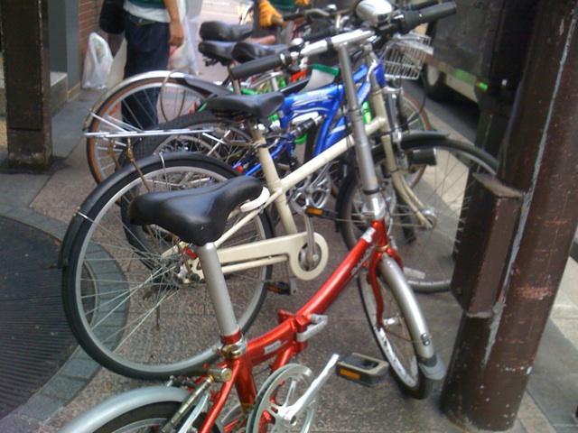 8月30日 朝そうじ画像