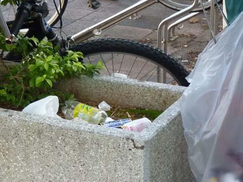 ９月２２日にこにこクリーンナップ画像