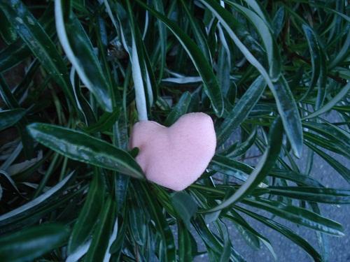 11/4　朝そうじ画像