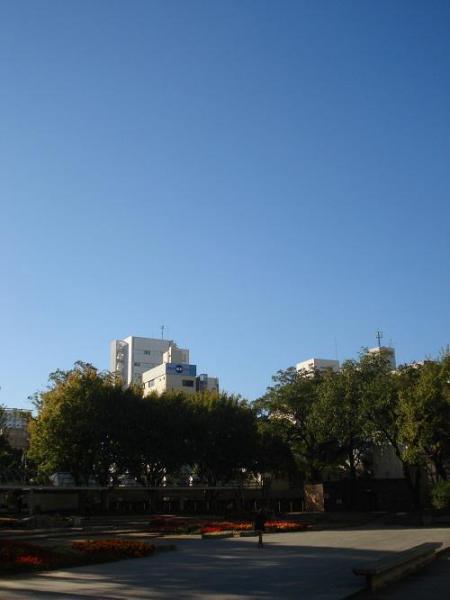 11/4　朝そうじ画像