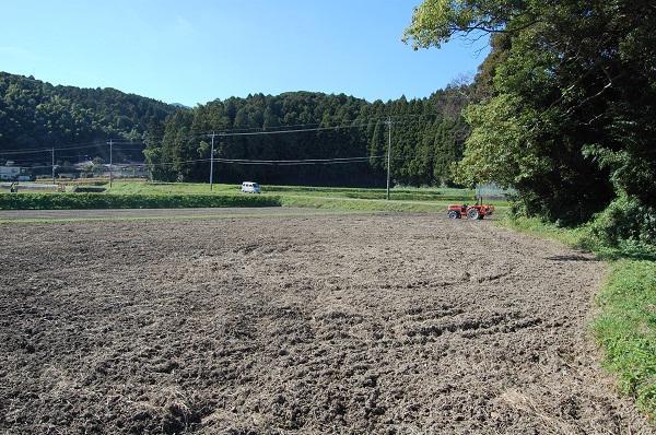 グリーンバード農園がはじまりました！画像