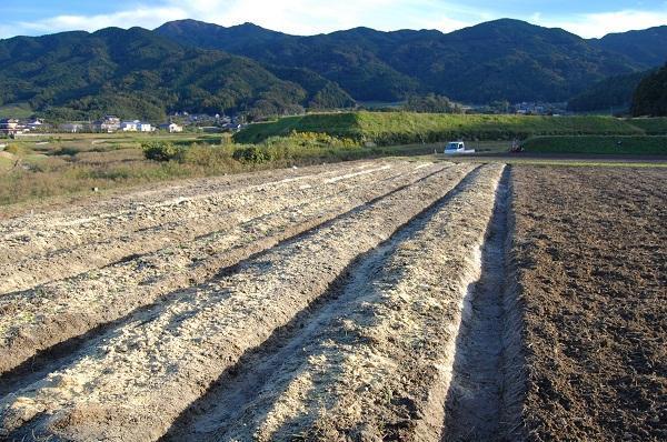 グリーンバード農園がはじまりました！画像