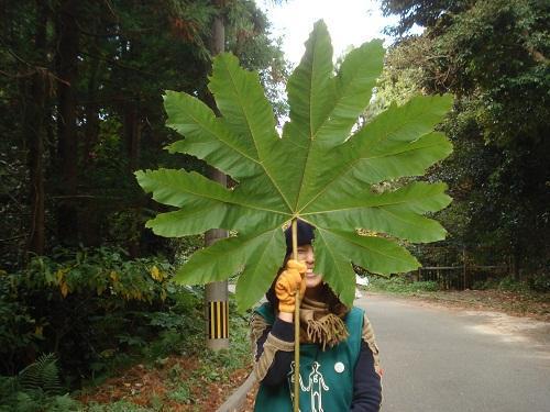 11/23　志賀島ウォーキングそうじ画像