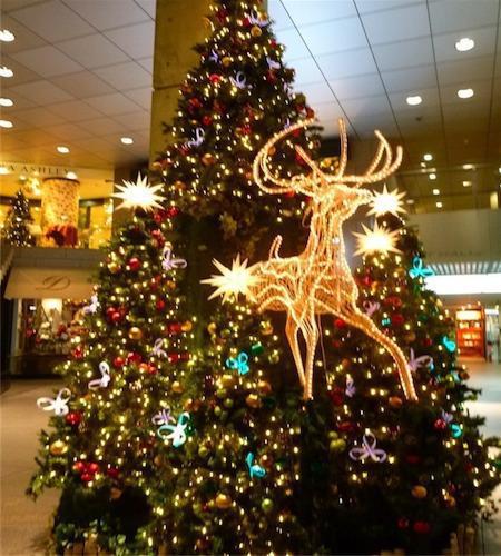 きっと君はこない〜♪画像