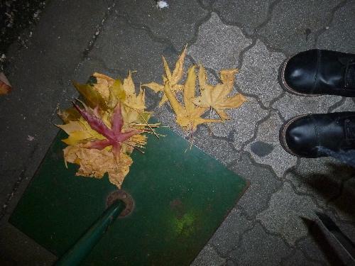 とらふぐシーズン画像