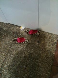 ２０１０しめ画像