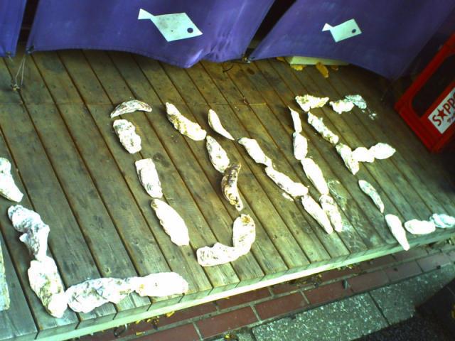 今日のお掃除日記 2月13日編画像