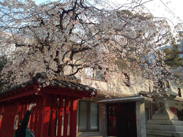 3.31 モンモンの朝そうじ画像