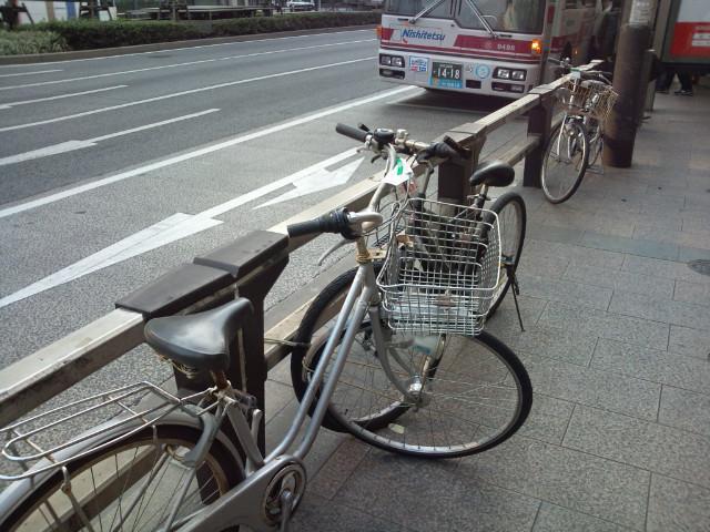 3.31 モンモンの朝そうじ画像