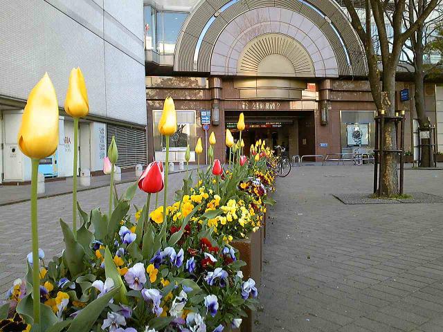 4.4 青空の下　爽やか朝そうじ画像
