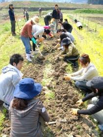 グリグリの種蒔き日記（1日目）画像