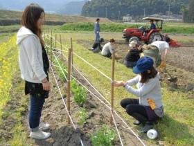 グリグリの種蒔き日記（1日目）画像