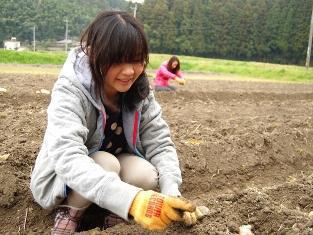 グリグリの種蒔き日記（２日目）画像