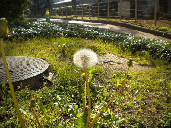 4.14 ブラックデー　朝そうじ画像