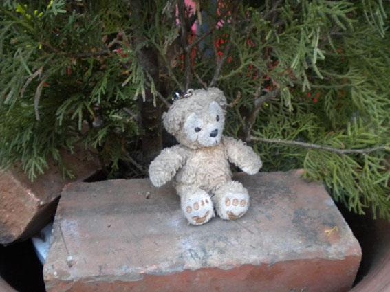 4.25 週明けの天神は面白い☆朝そうじ画像