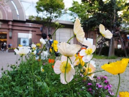 4月26日　夕方そうじ＊画像