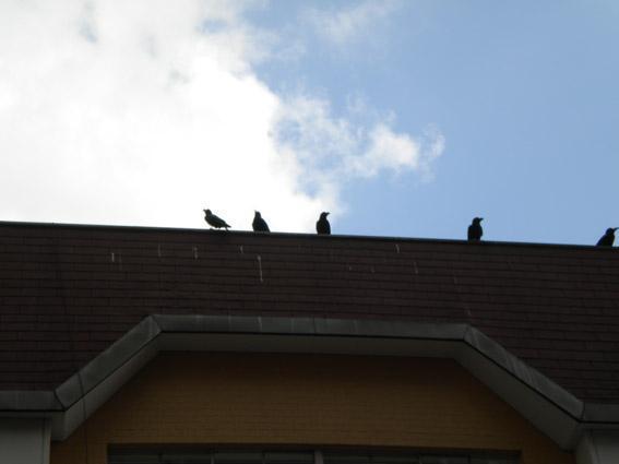 4.28 朝そうじ画像