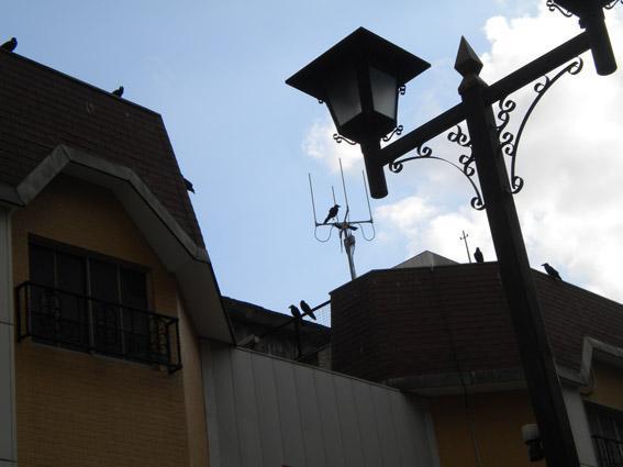 4.28 朝そうじ画像