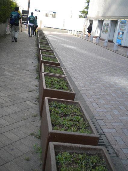 5.16 オシャレトークと朝そうじ画像