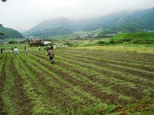 グリグリ「クサムシリスト達の1日」画像