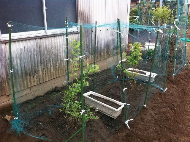 くまもと農園お披露目画像